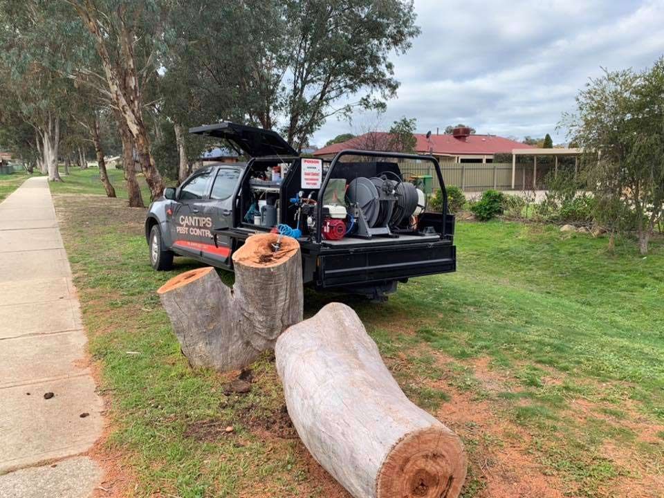 A Truck Is Parked Next To A Tree Stump In A Park — Cantips Pest Control in Albury, NSW