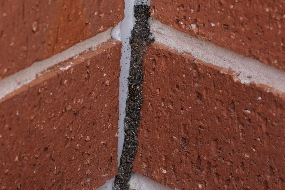A Close-up View of a Brick Wall With Crack Running Through the Bricks — Cantips Pest Control in Albury, NSW