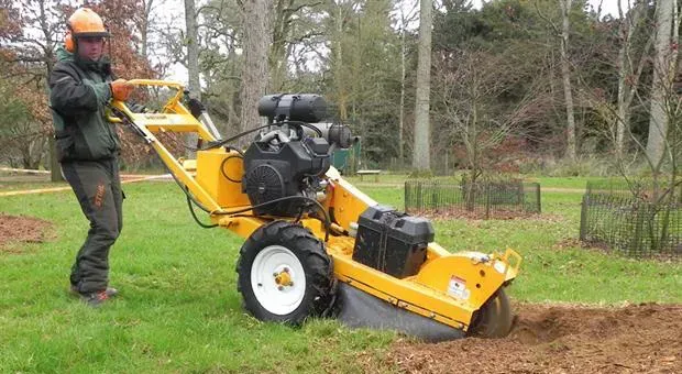 Stump grinding newark ca