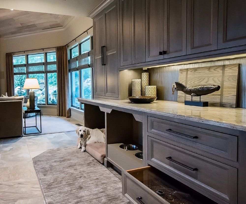 A dog is laying on a dog bed in a living room