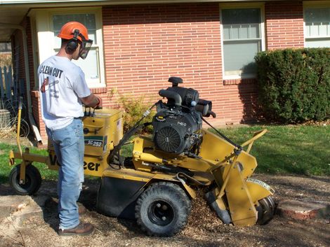 men using stump grinder - Tree Service in Prole, IA