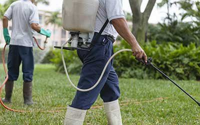 image-72252-02D22872.jpg?1410464811485 image-72252-02D22872.jpg?1410464811485