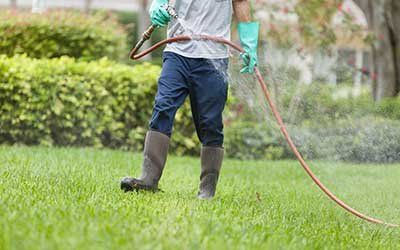 image-72252-02D22872.jpg?1410464811485 image-72252-02D22872.jpg?1410464811485