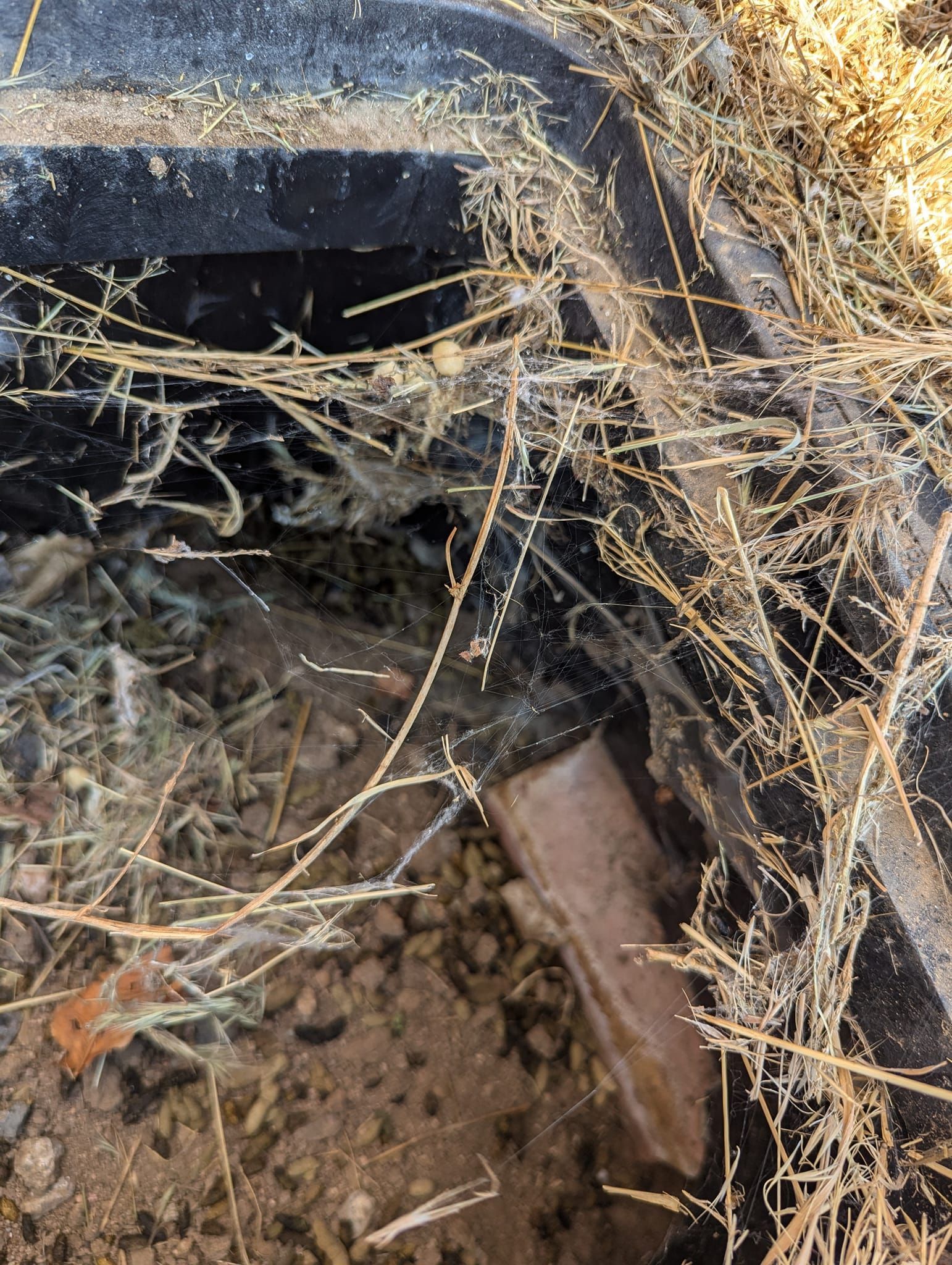 A close up of a spider web on the ground.
