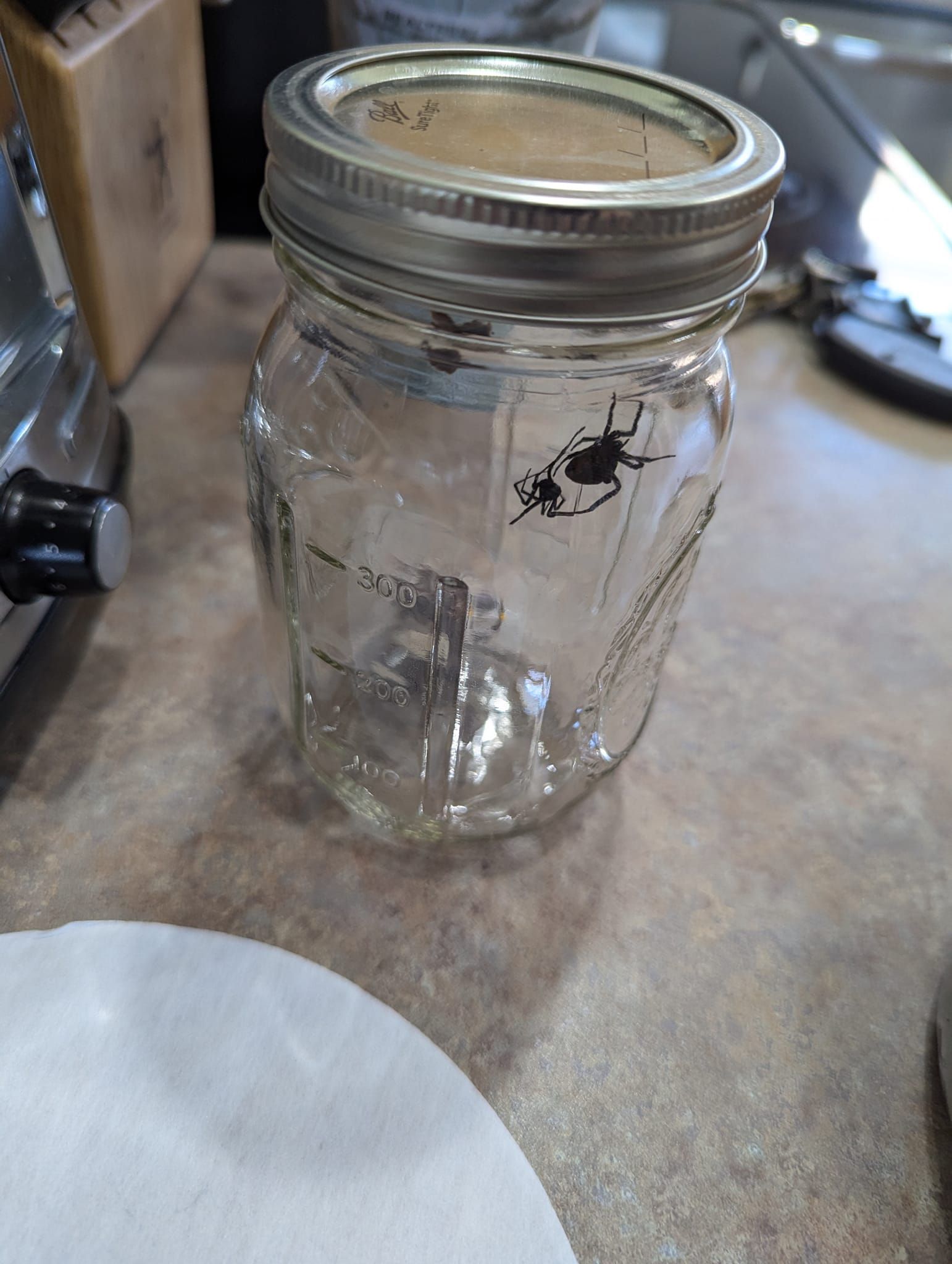 A mason jar with a metal lid is sitting on a counter.
