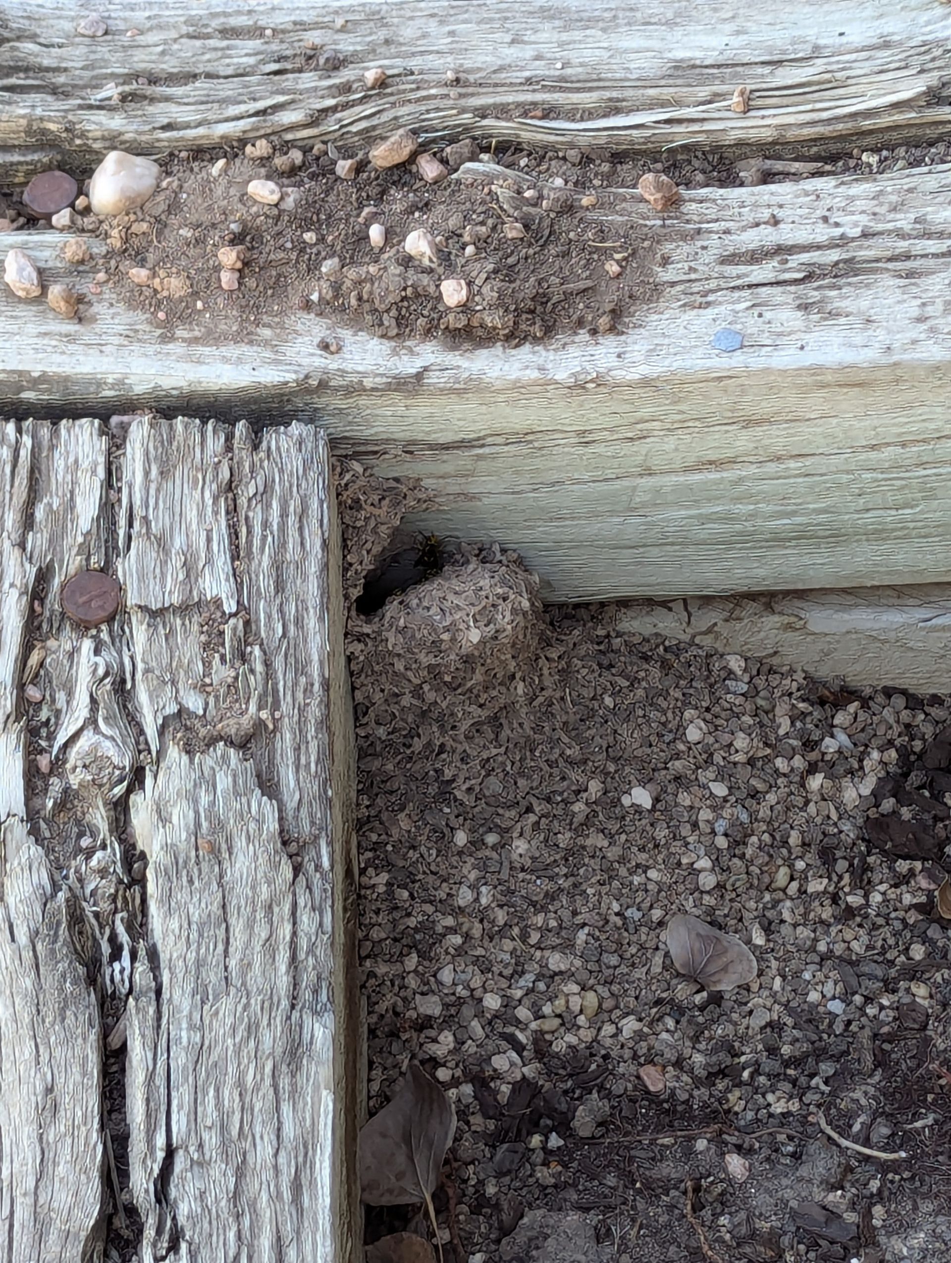 A close up of a piece of wood with a hole in it.