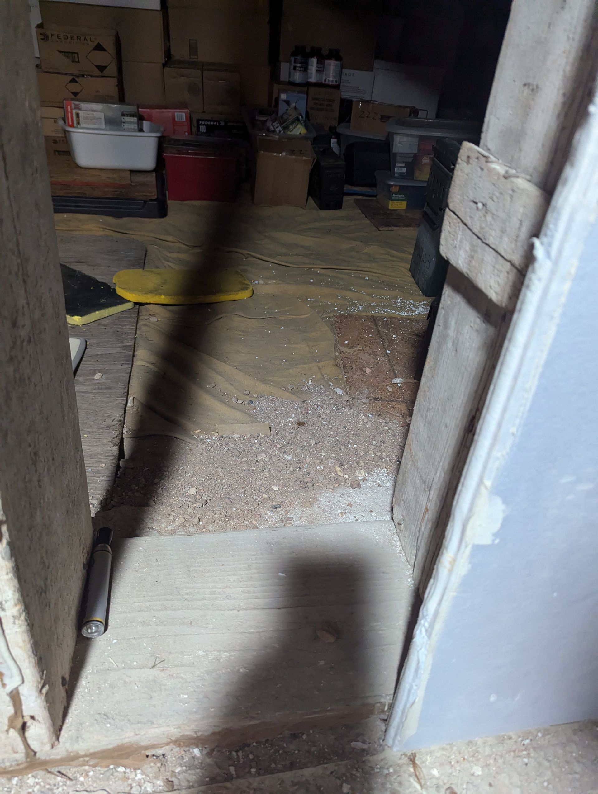 A shadow of a person is cast on the floor of a room.