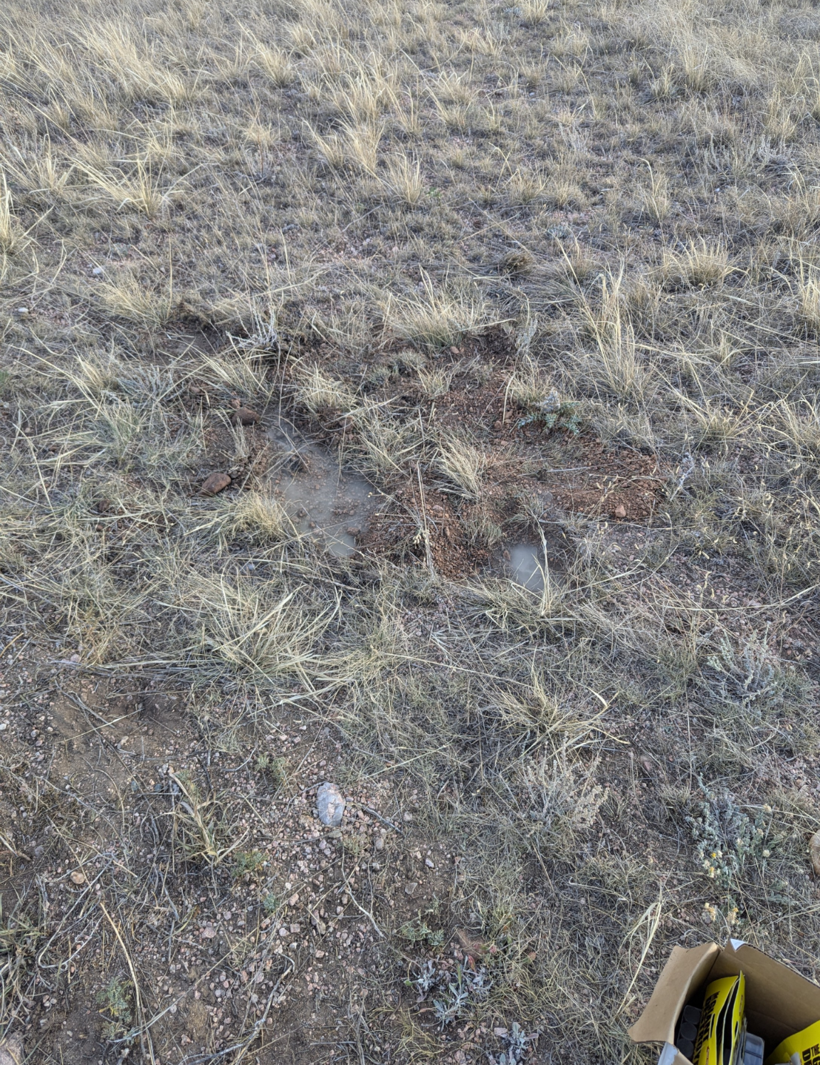 A box of tools is sitting in the middle of a field of dry grass.
