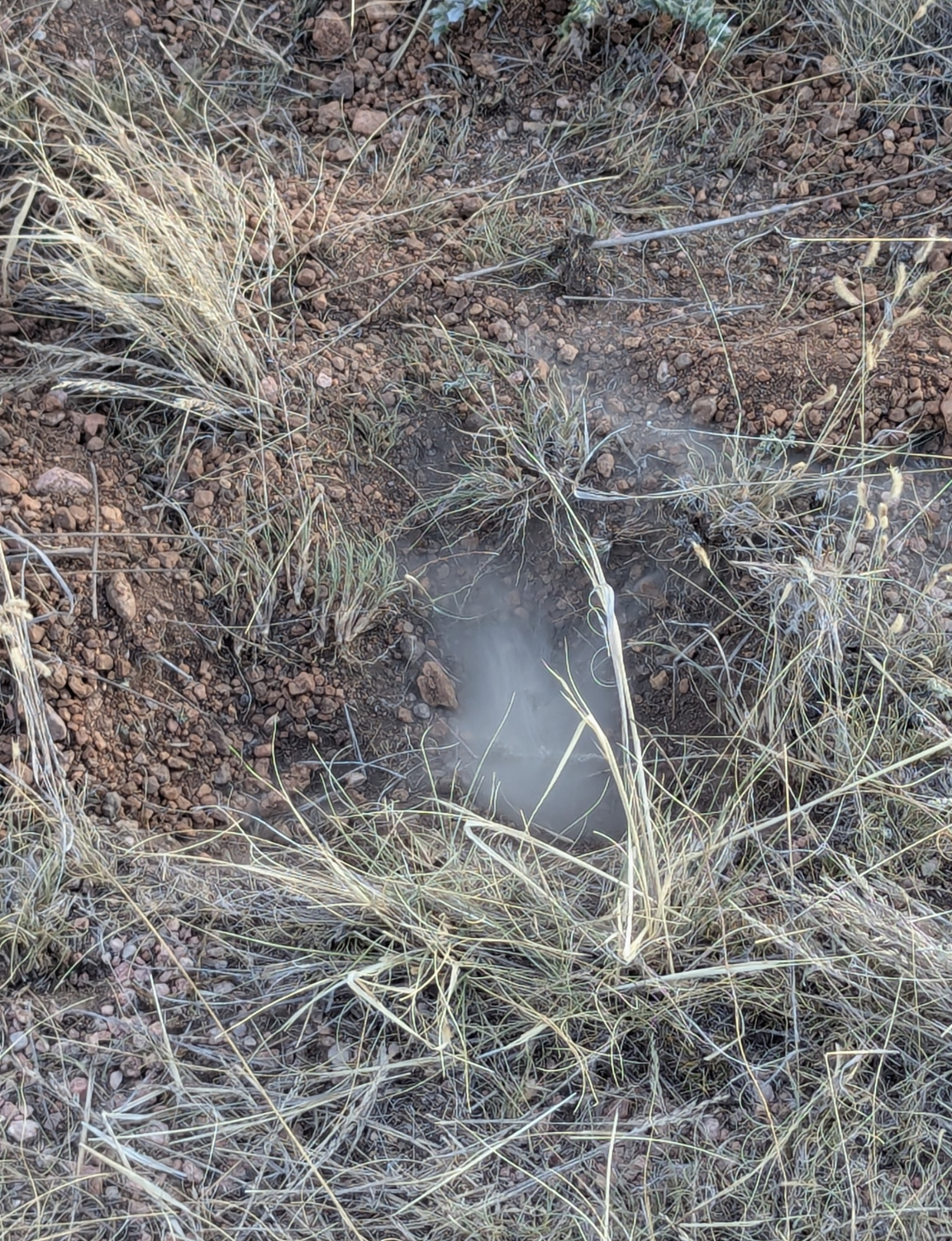 There is a hole in the ground in the middle of the grass.