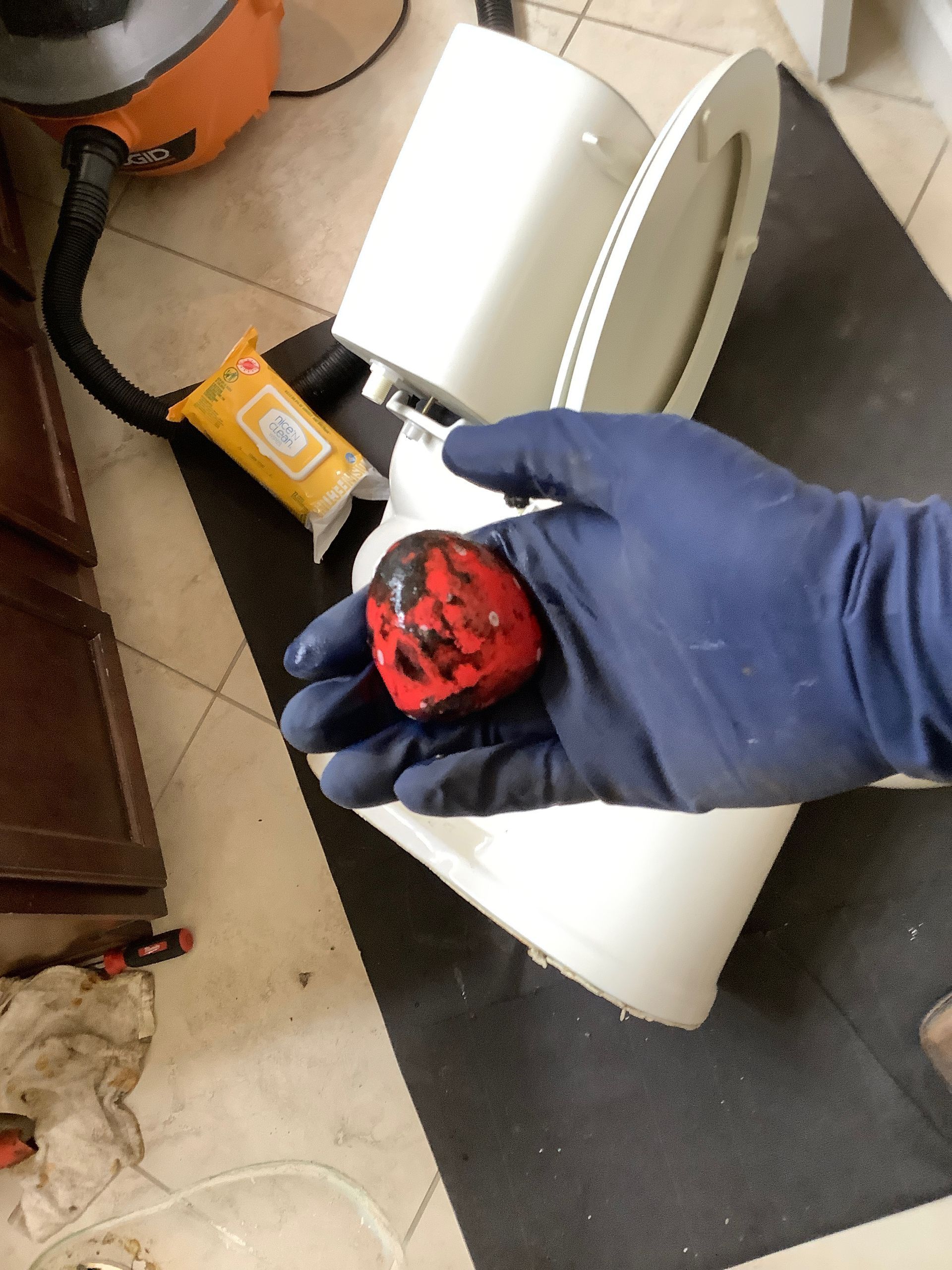 A person wearing blue gloves is holding a red object in front of a toilet