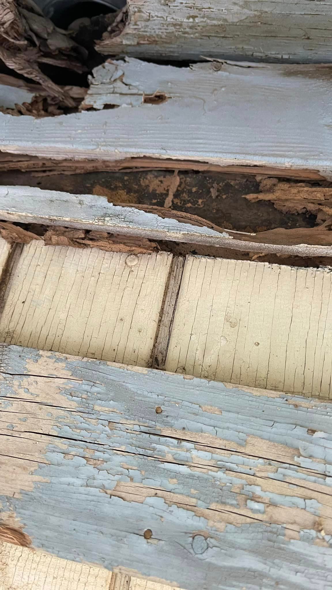 A close up of a piece of wood with holes in it.