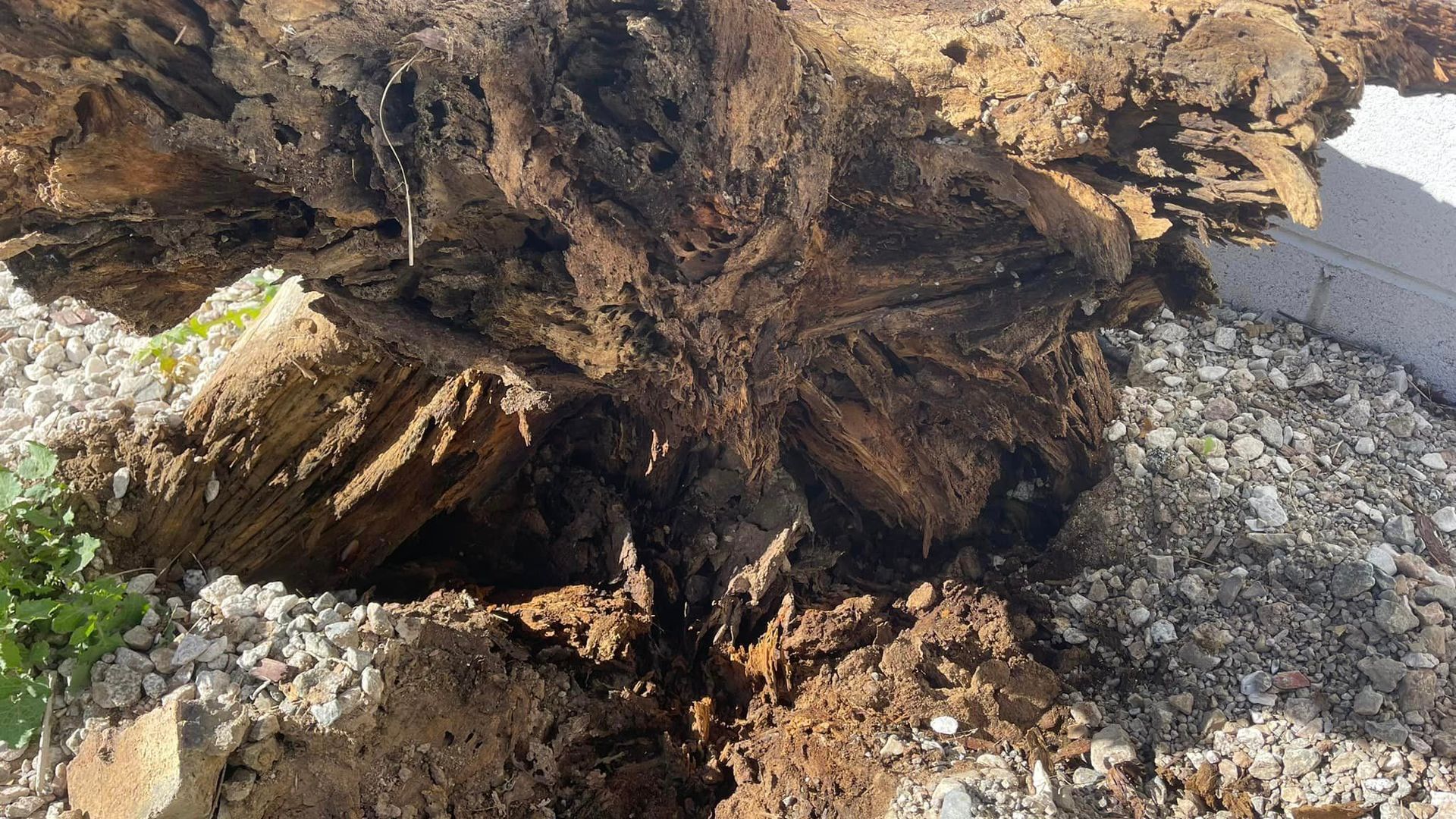 A large piece of wood is sitting on top of a pile of rocks.