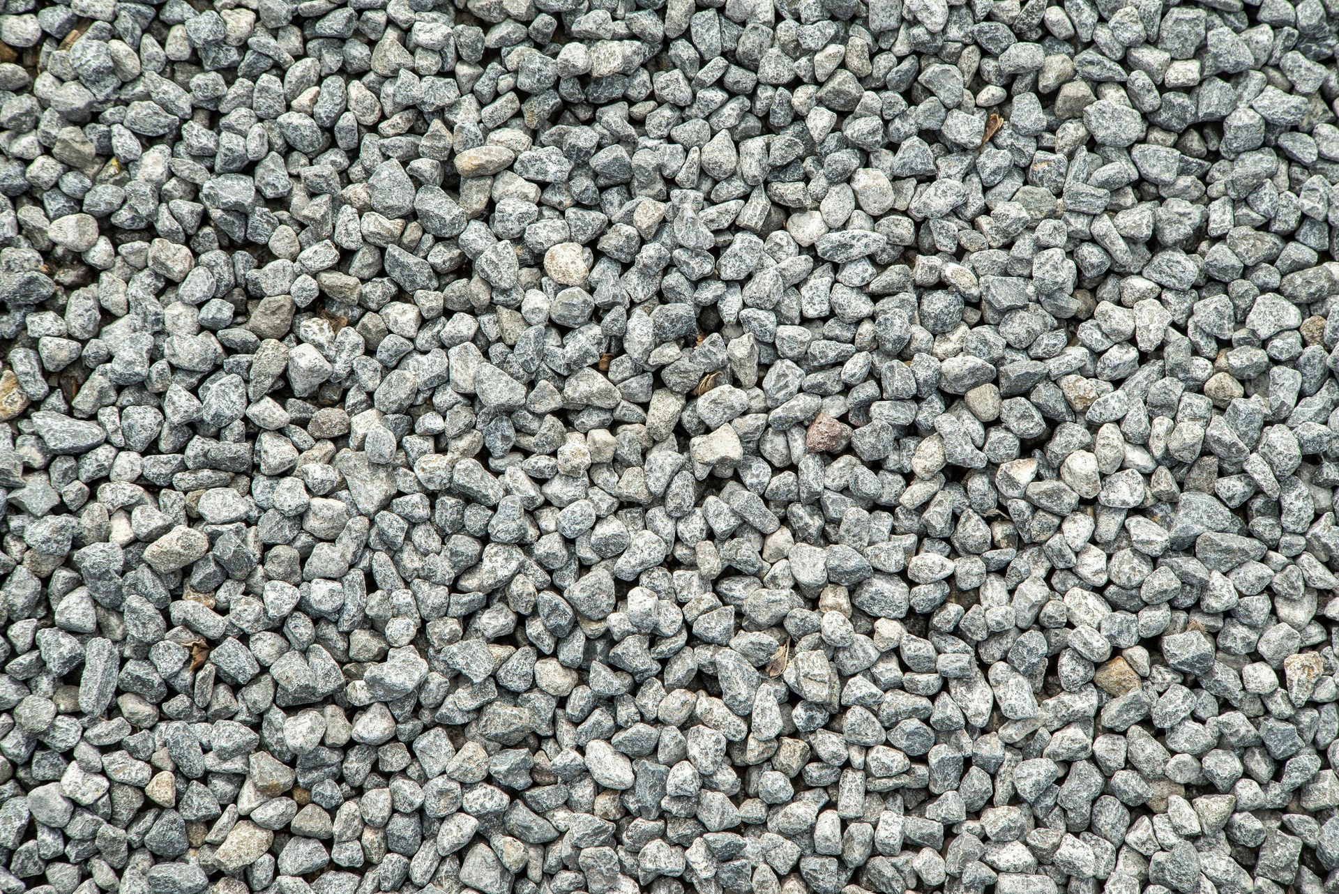 Gray gravel background, small rocks densely packed.