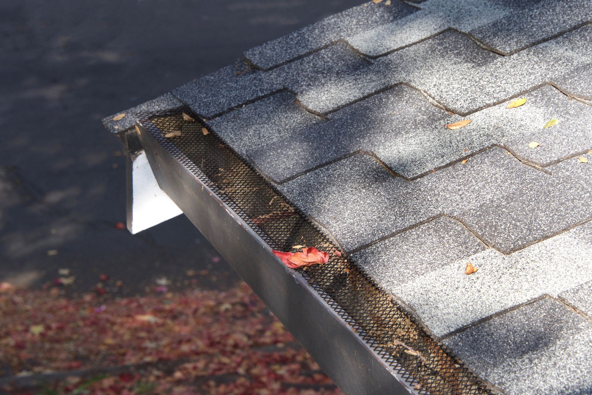 Black mesh gutter guard on a roof with asphalt shingles, containing leaves.