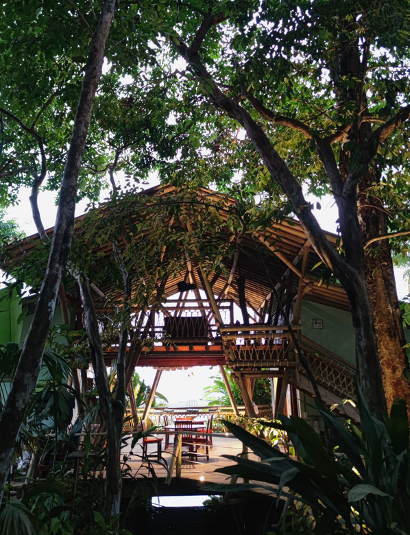 Shaded tropical treehouse dining area with wooden tables, surrounded by lush green trees