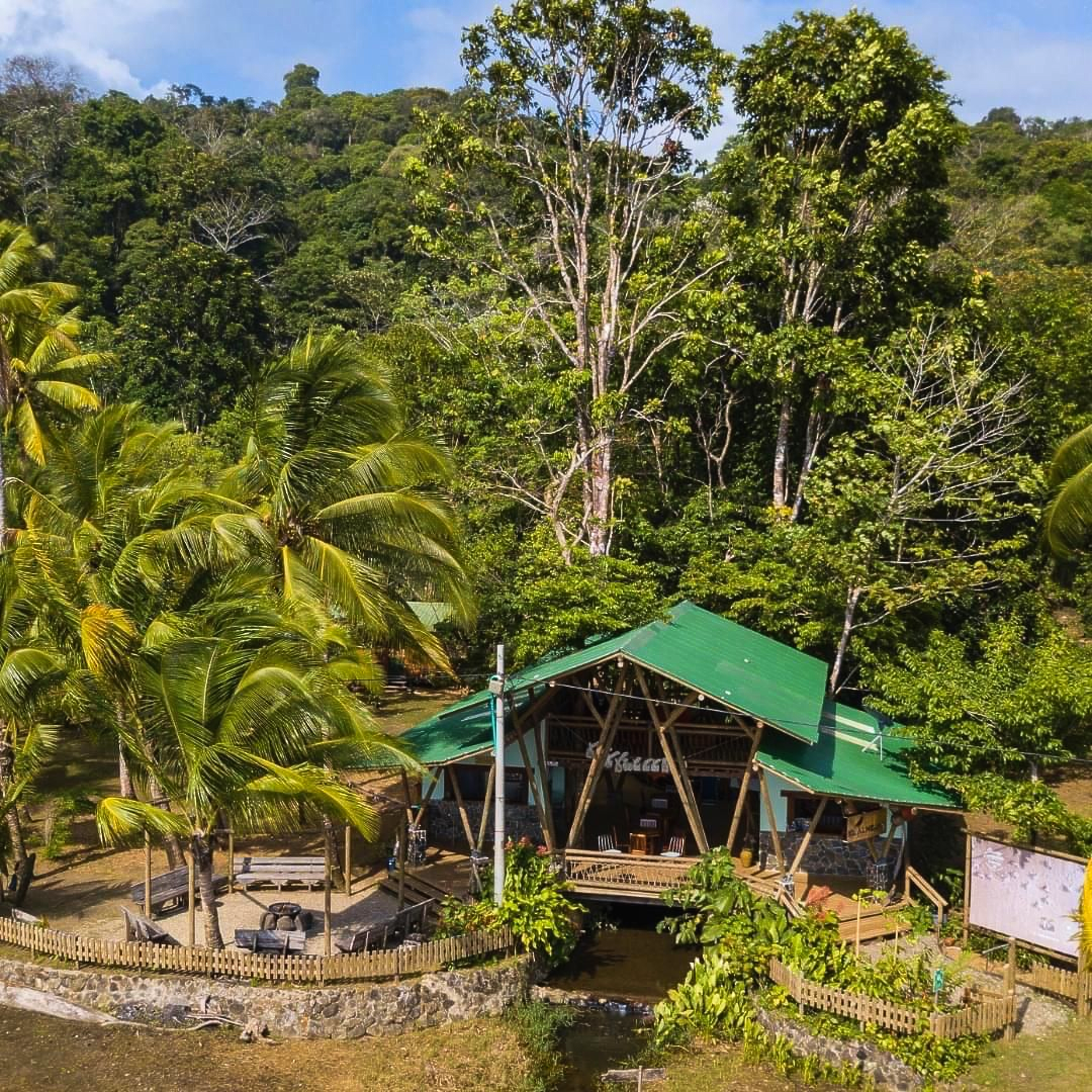 Open-air green-roofed pavilion in a tropical forest clearing with palm trees and stone seating