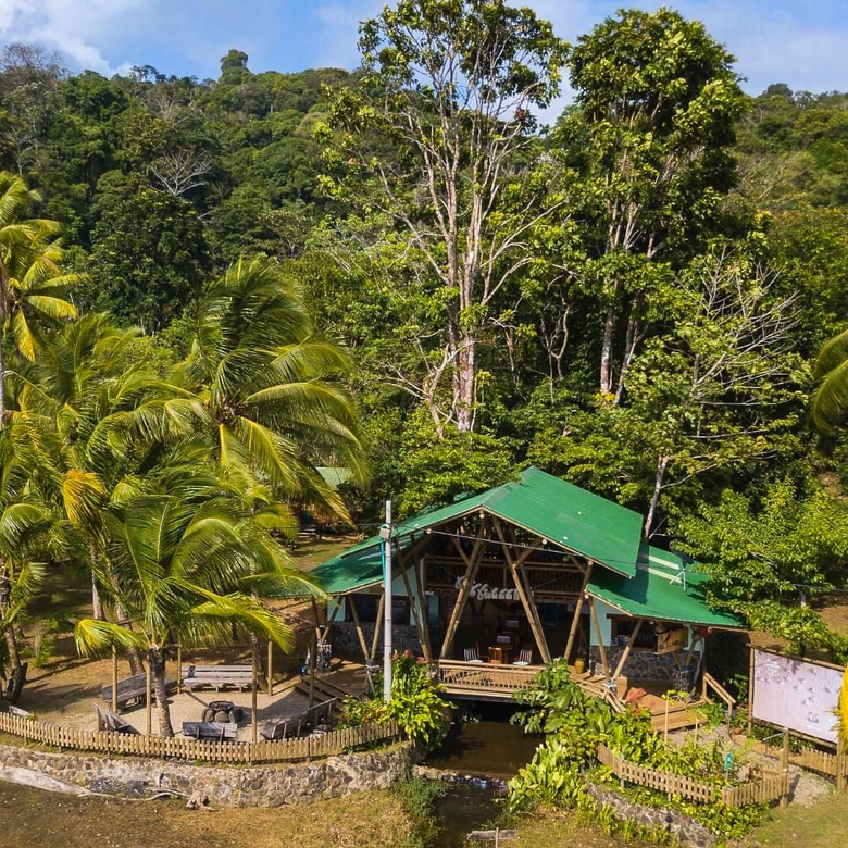 Open-air green-roofed pavilion in a tropical forest clearing with palm trees and stone seating