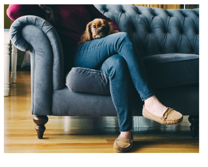 A woman is sitting on a couch with a dog on her lap.