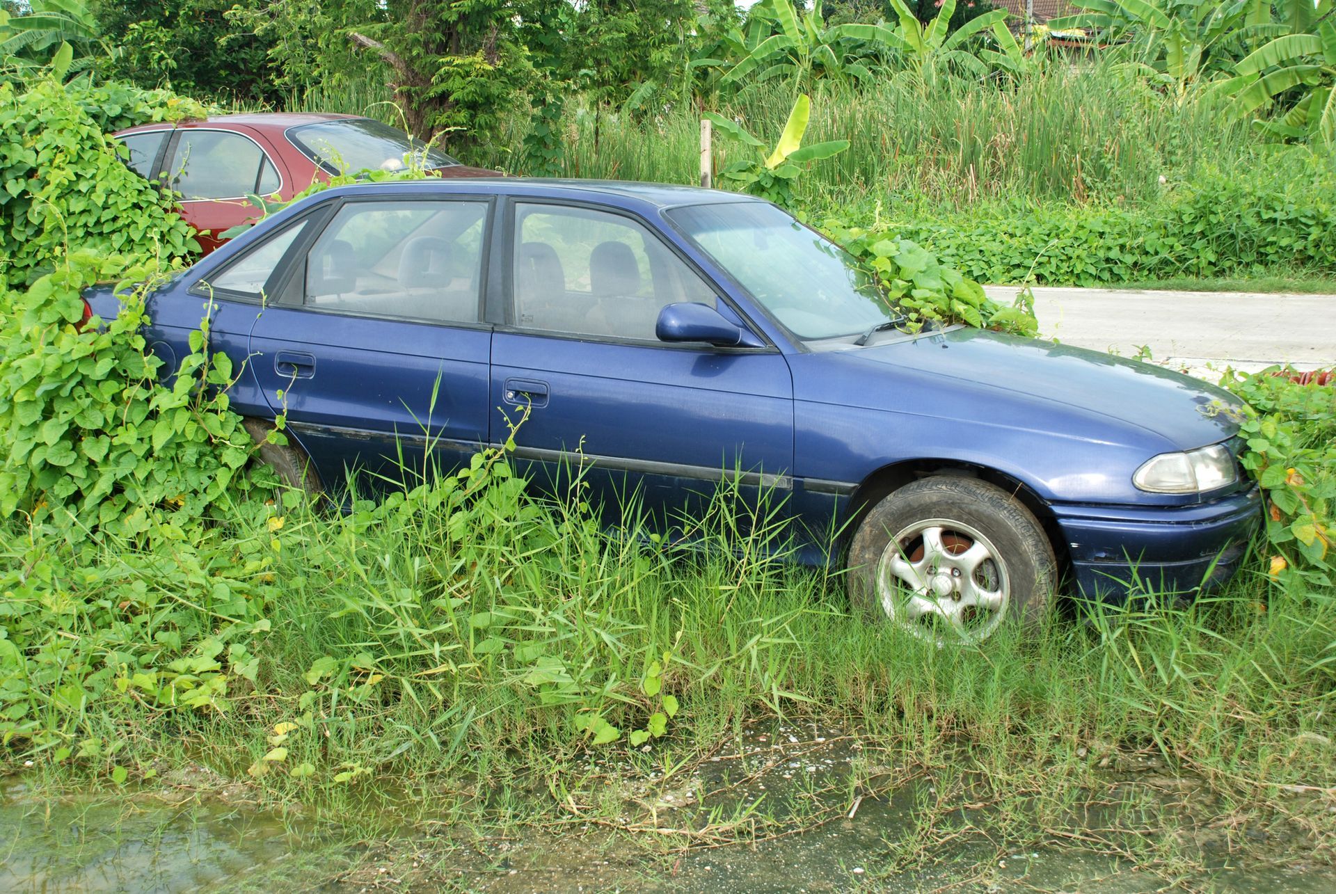 A blue car is parked in a grassy field