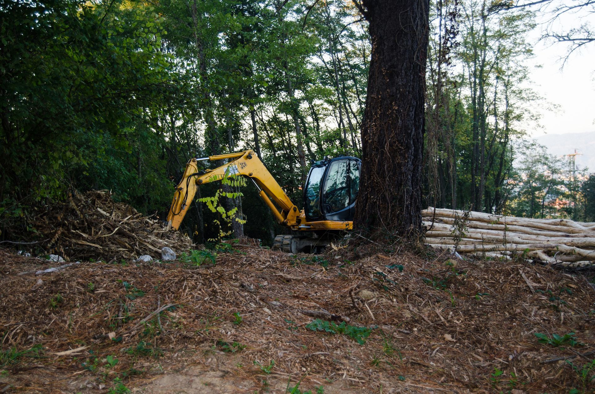 A yellow excavator is sitting in the middle of a forest.