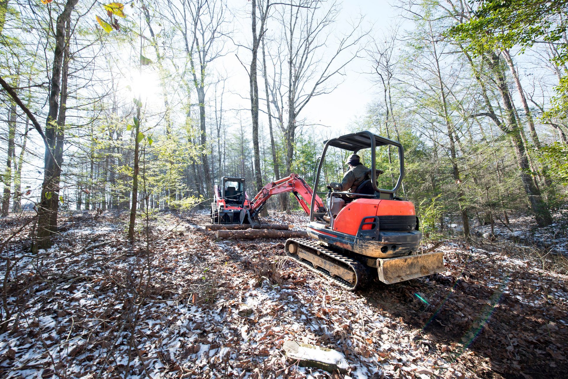Clearing Land — Flatwoods, KY — Custom Tree Service