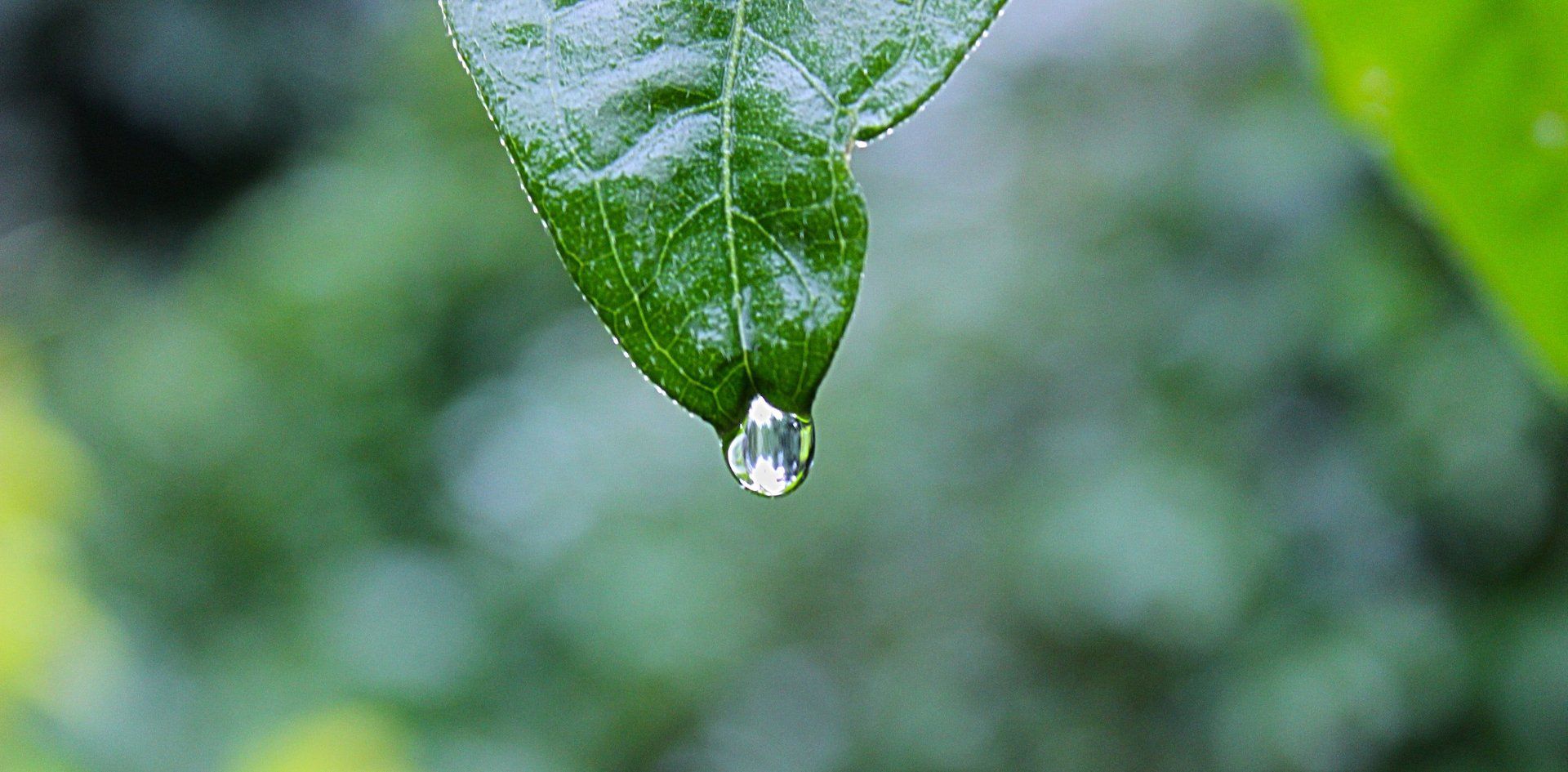 Irrigation Systems
