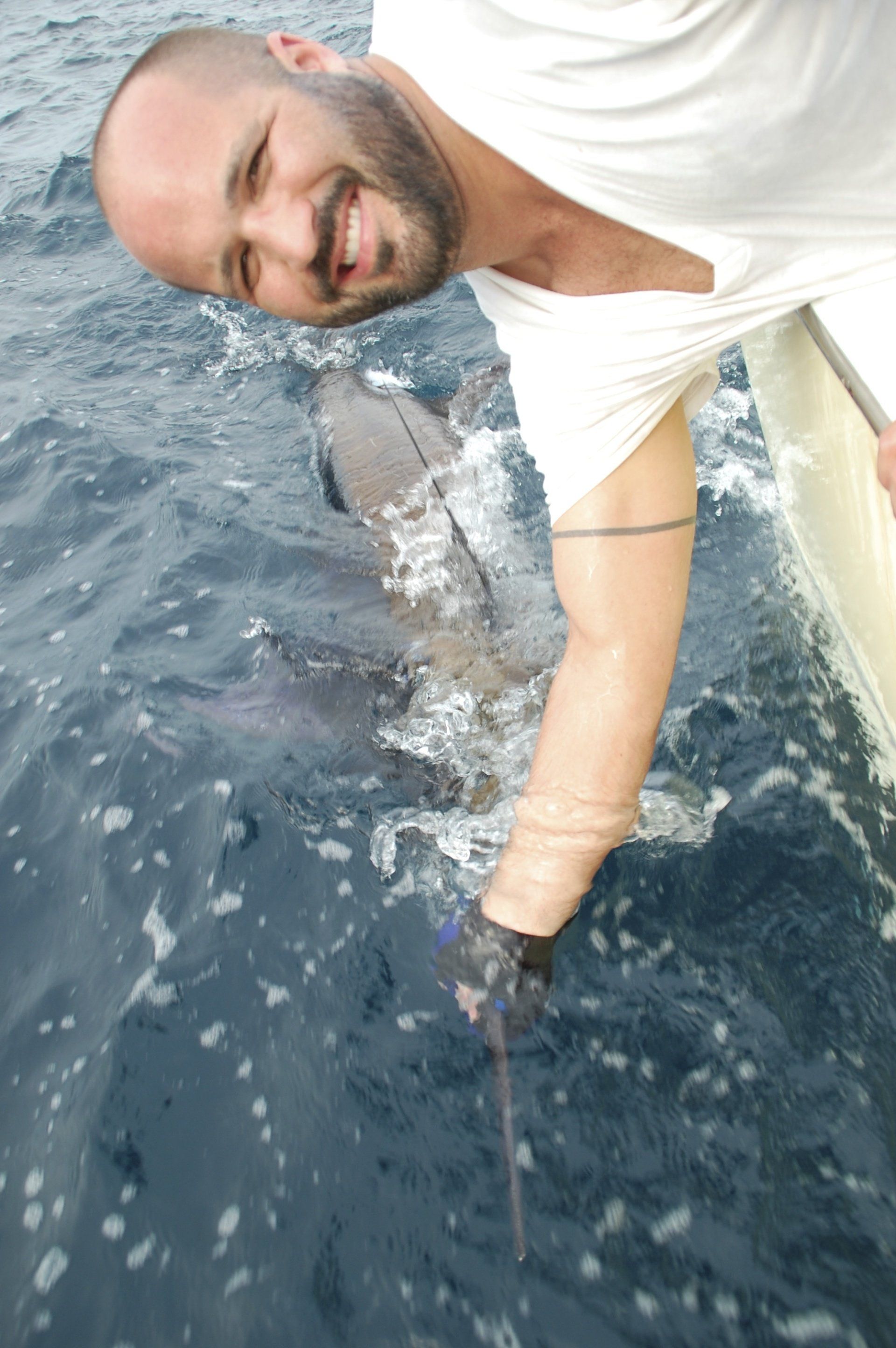 Blue Marlin charter fishing Key Largo Florida