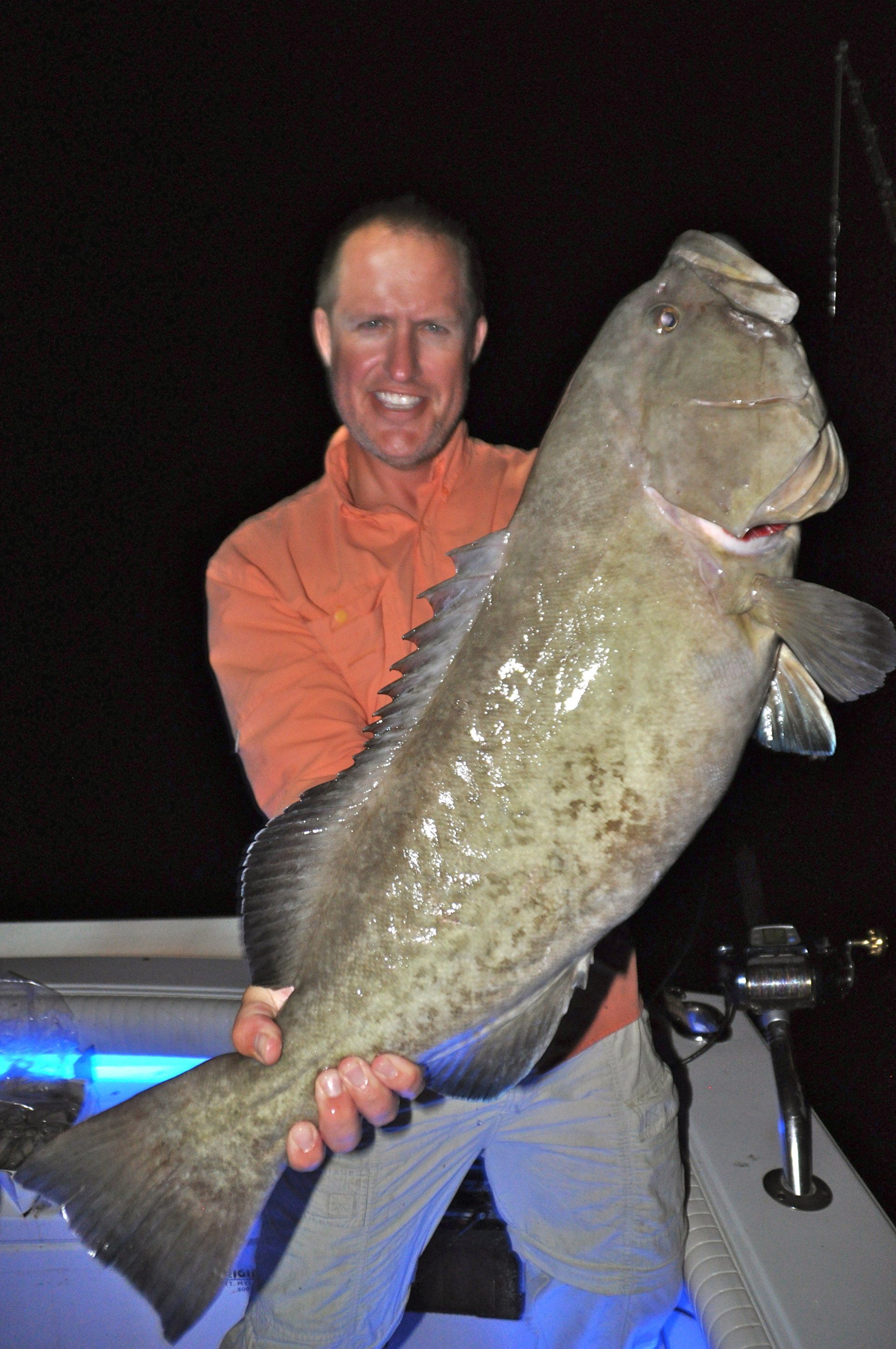 Giant gag grouper-Key Largo Florida