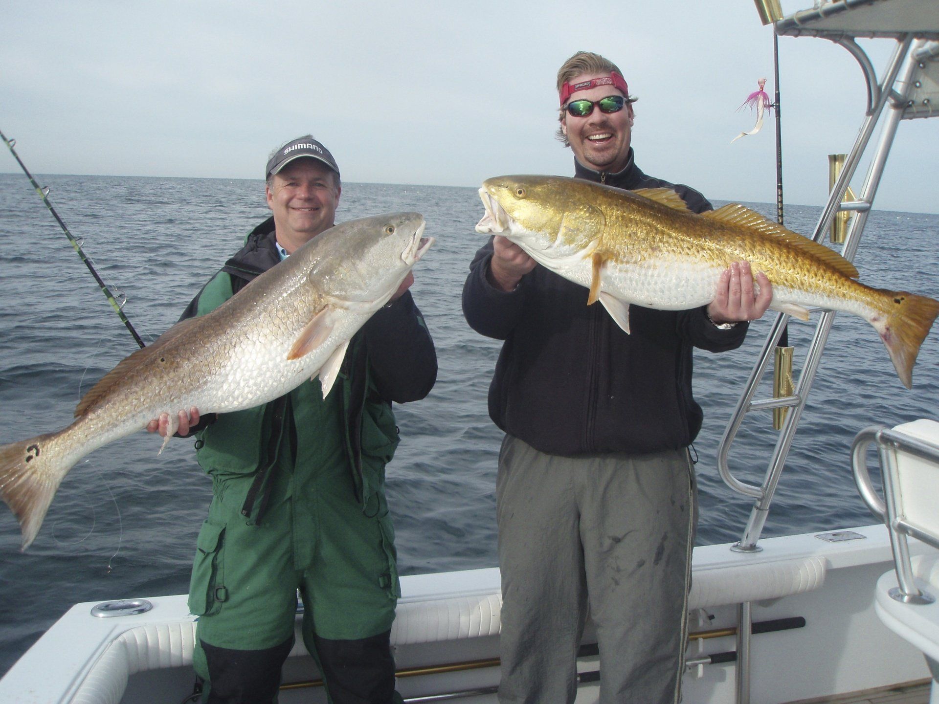 Giant redfish-Key Largo Florida
