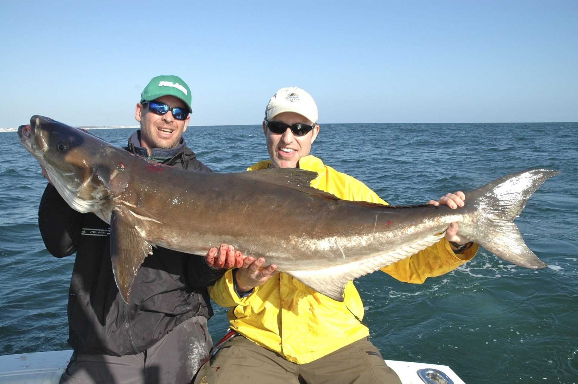 Cobia Fishing Blue Water Adventures-Florida Keys