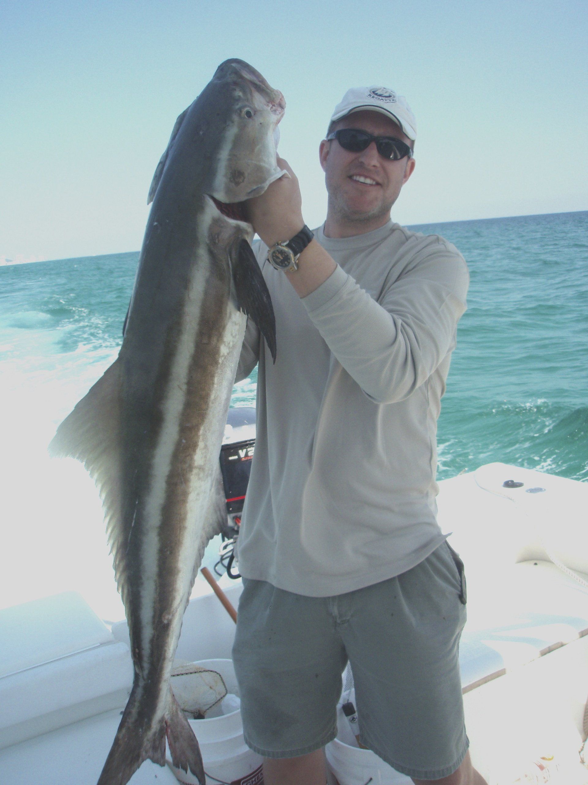 Cobia charter fishing-Key Largo Florida