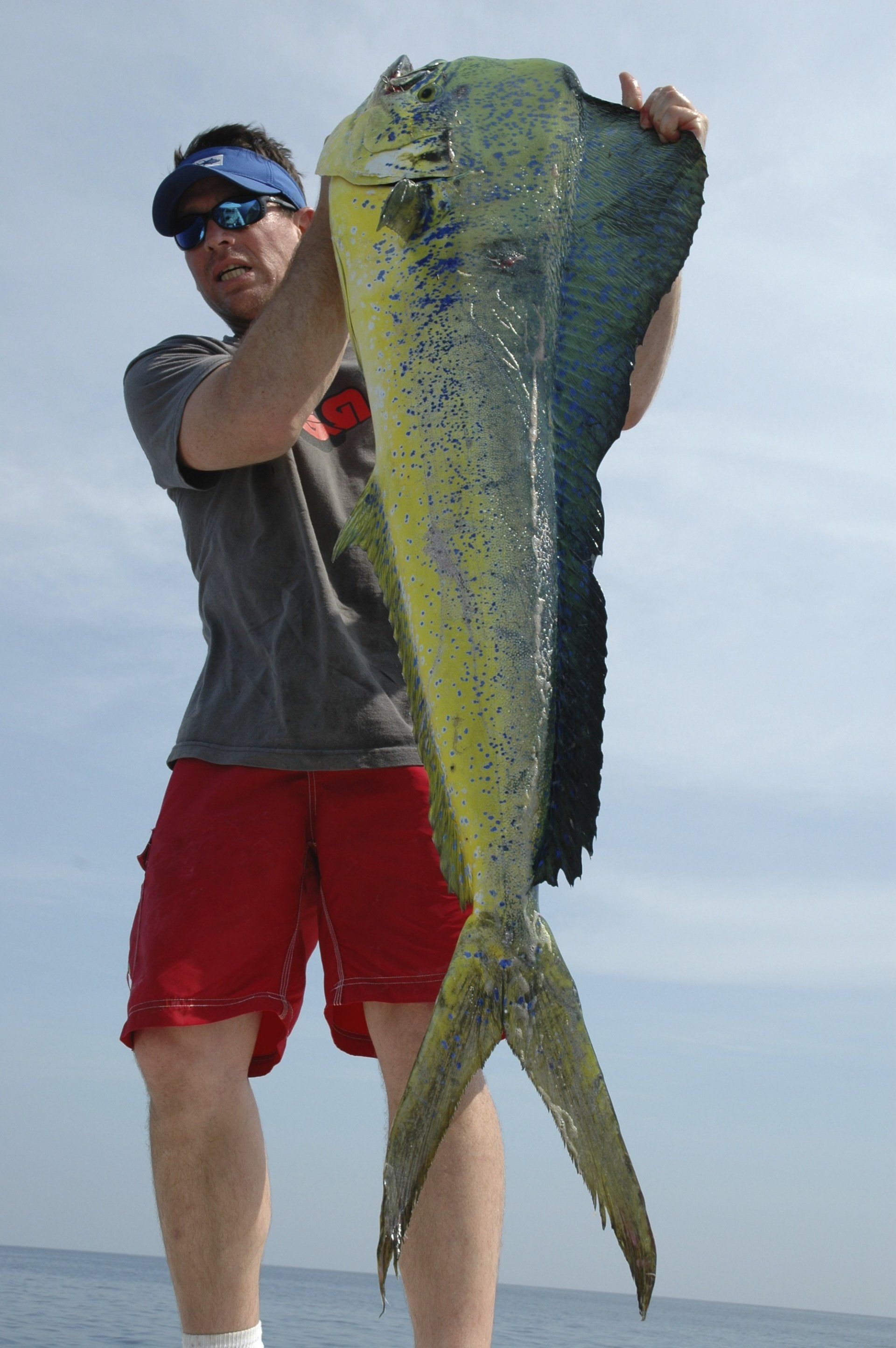 Giant Mahi-mahi sportfishing-Blue Water Adventures -Key Largo Florida