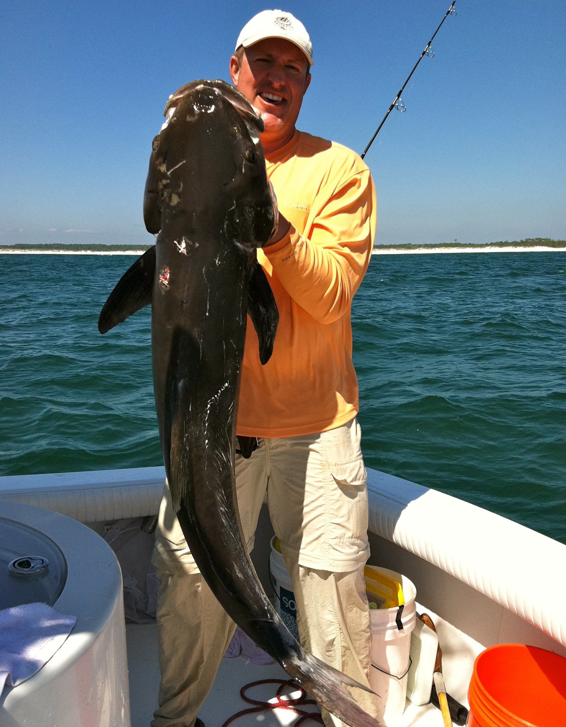 Nice cobia caught in Key Largo Florida