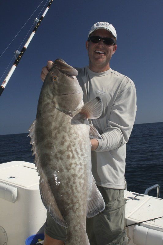 Gag grouper fishing trip-Key Largo Florida