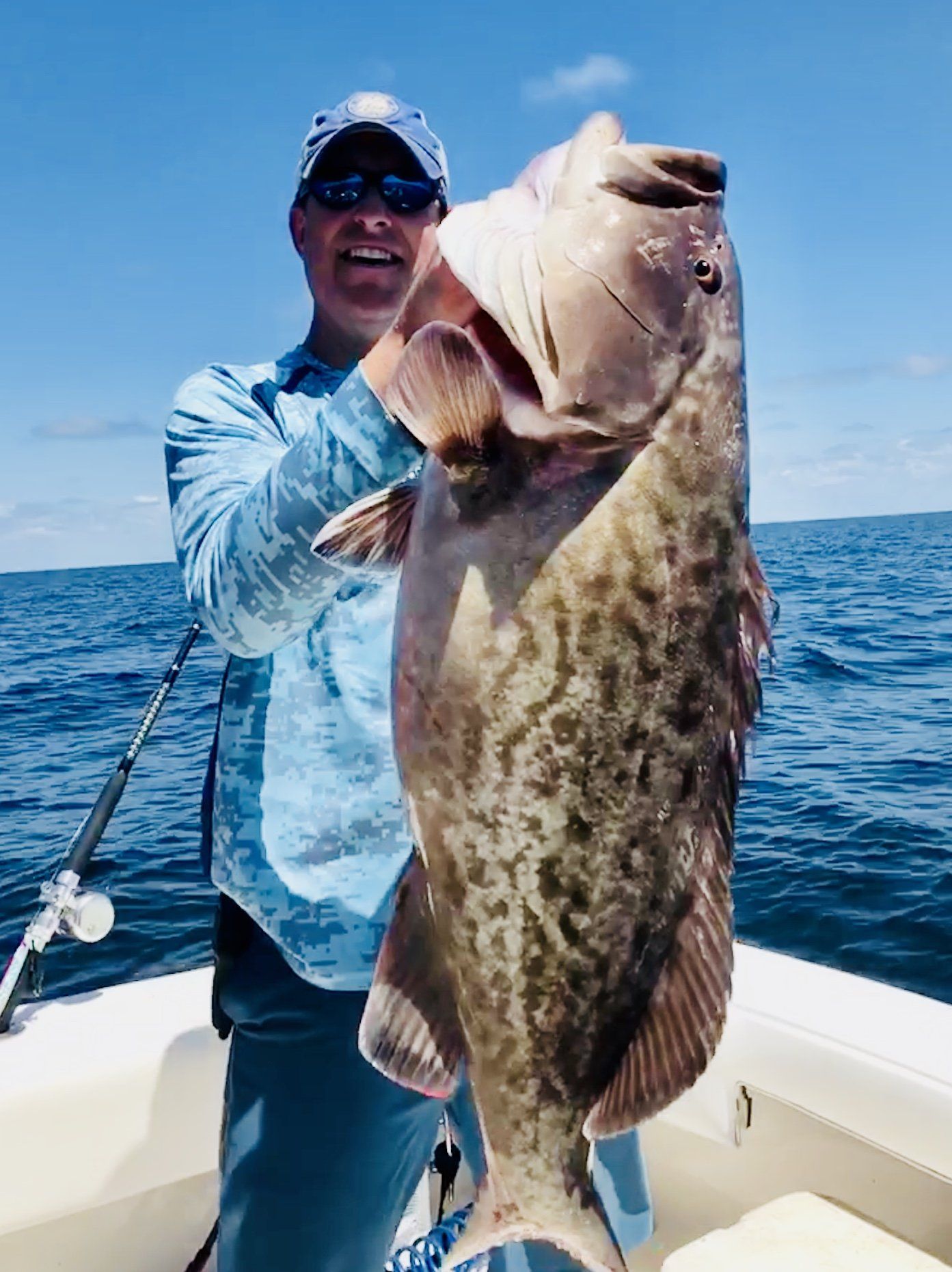 Giant gag grouper Key Largo Florida