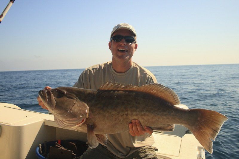 Giant grouper caught off the coast of Key Largo Florida