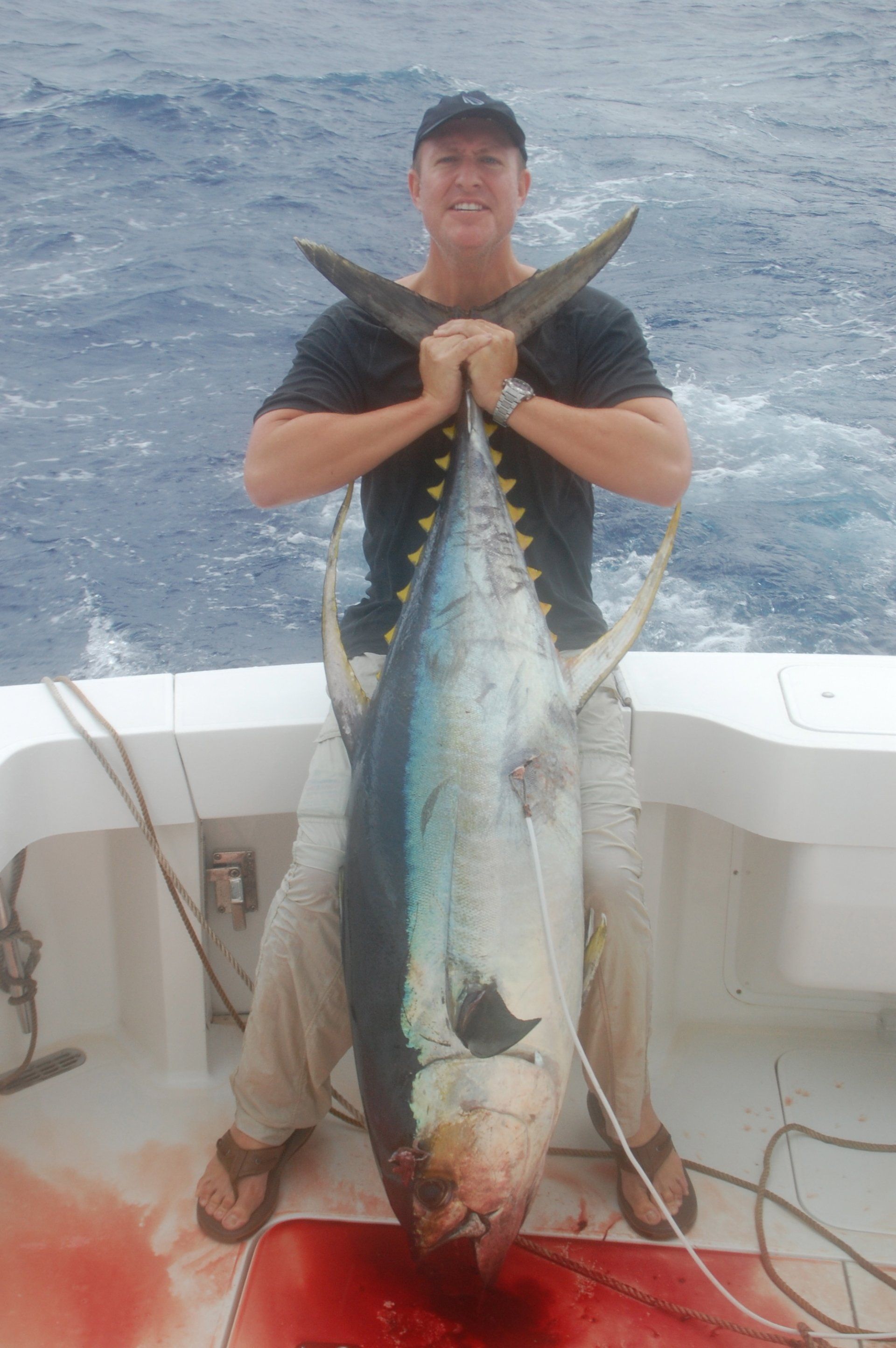 Giant tuna caught on Blue Water Adventures Charter Service Key Largo Florida