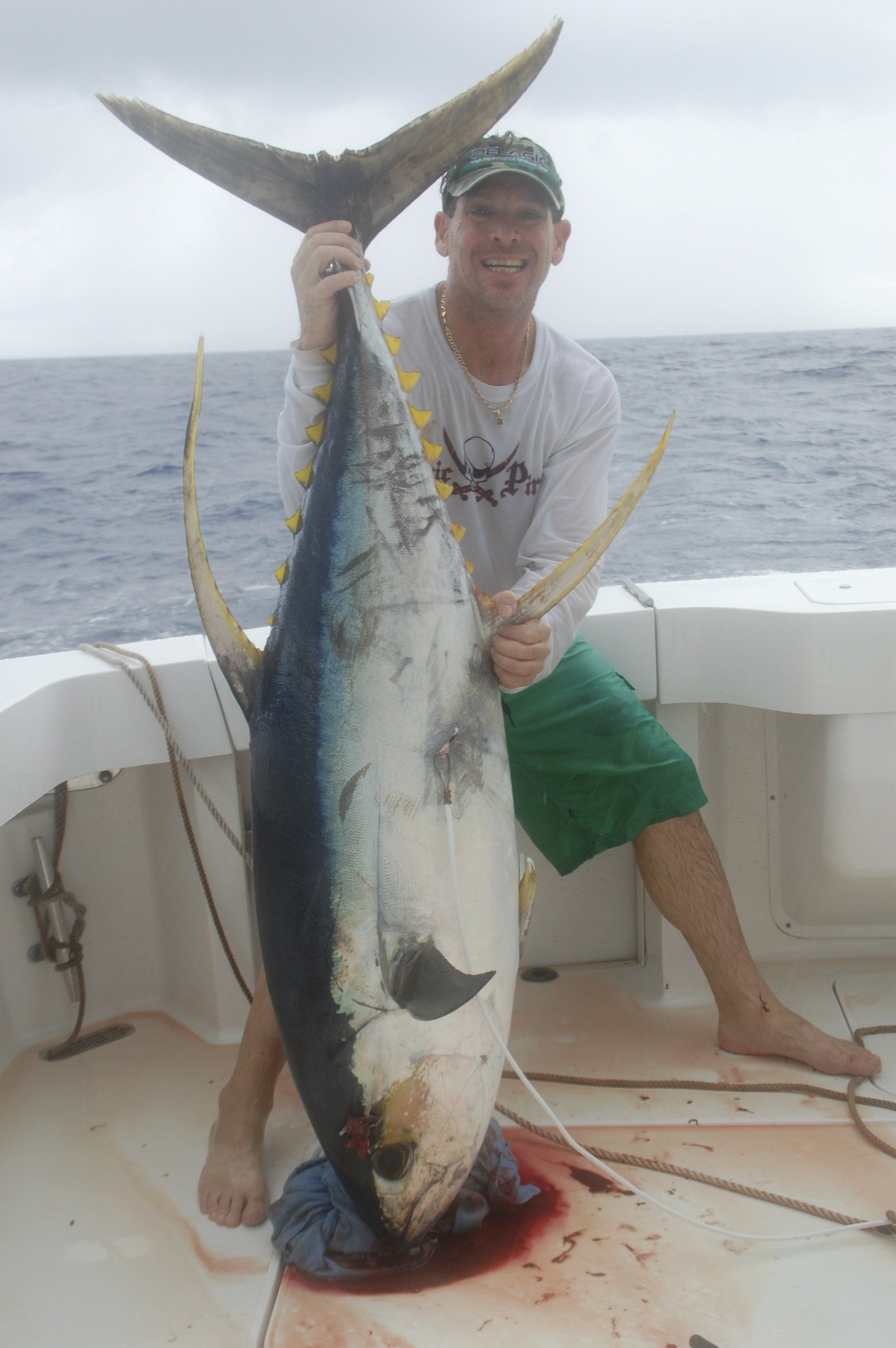 Giant tuna caught on Blue Water Adventures Charter Service Key Largo Florida