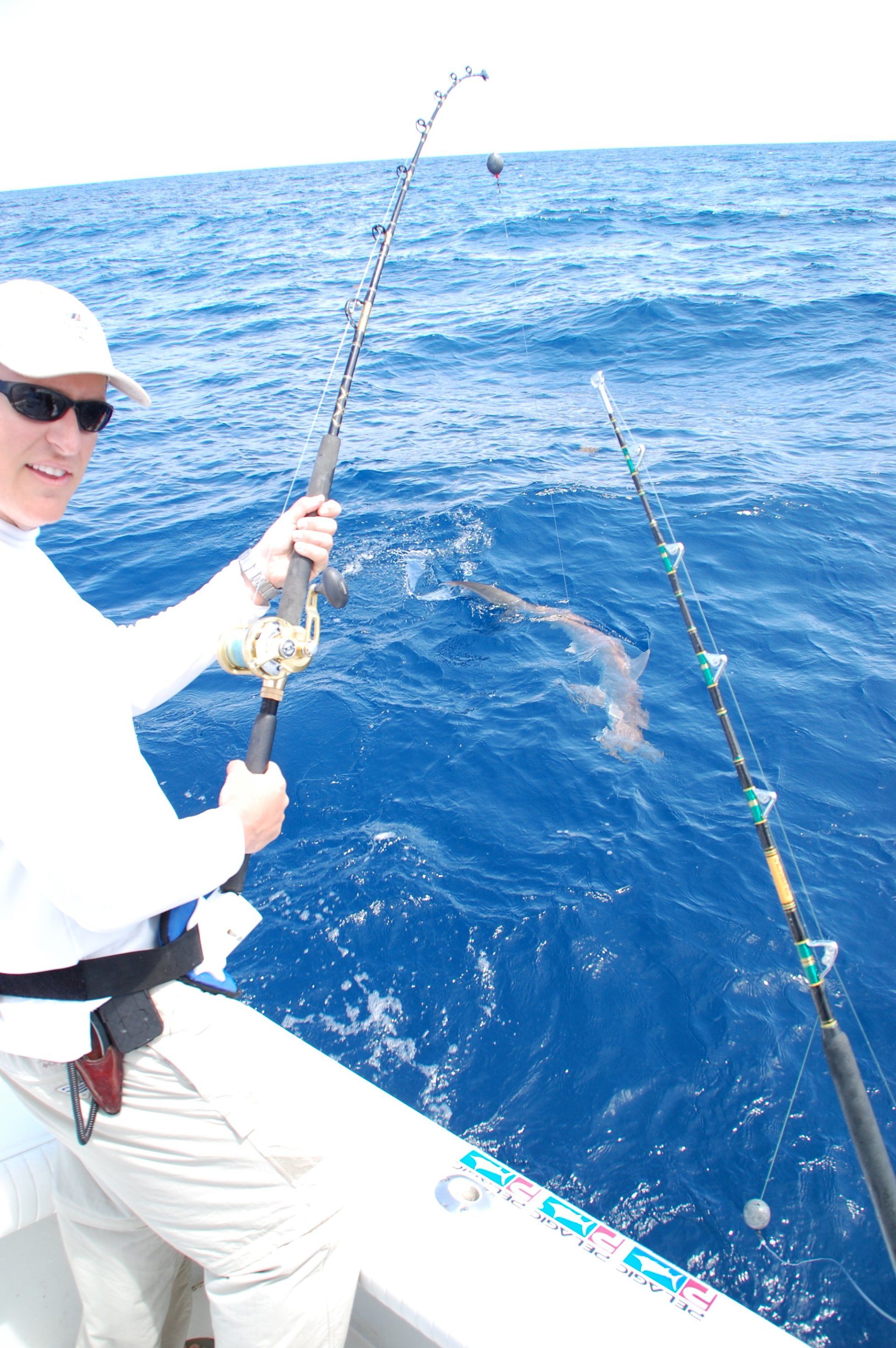 Hammerhead shark-Florida Keys