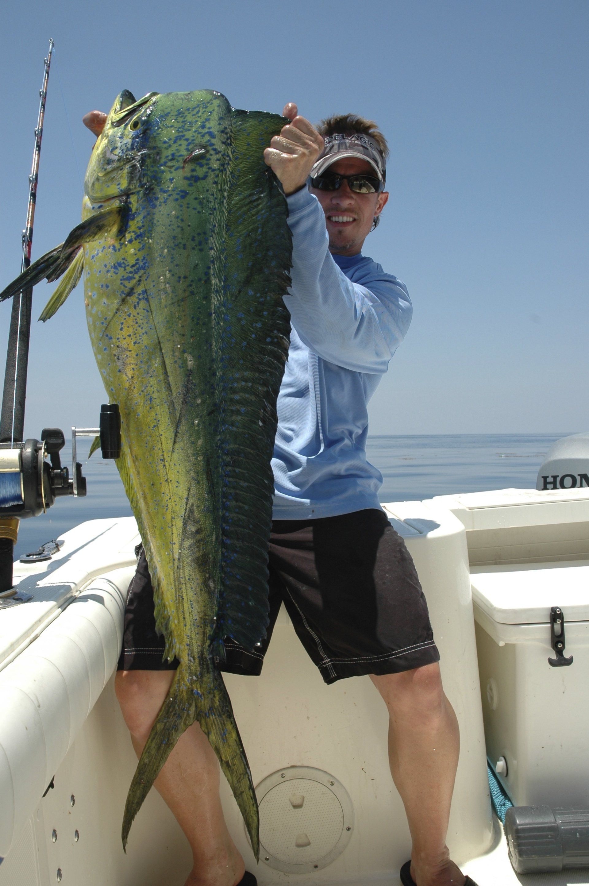 Mahi-mahi fishing in Florida Keys