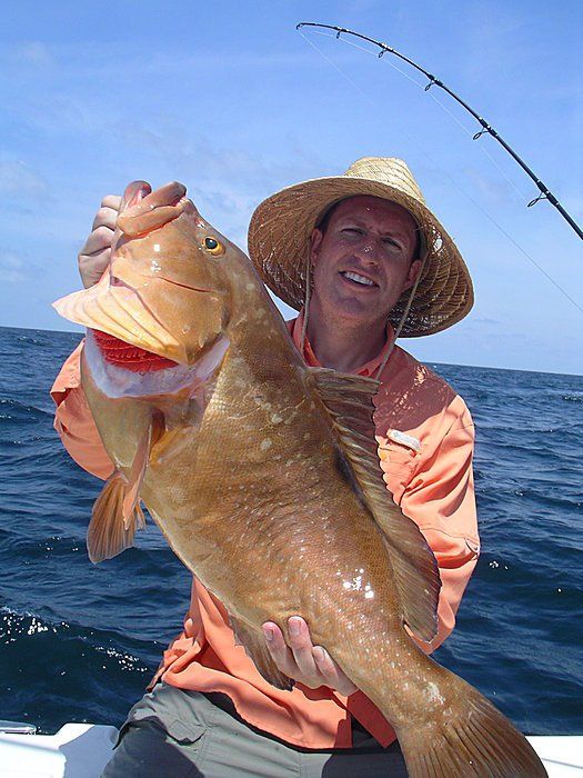 Grouper caught with Blue Water Charter Service