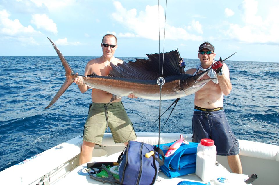 Florida Keys Fishing For Sailfish