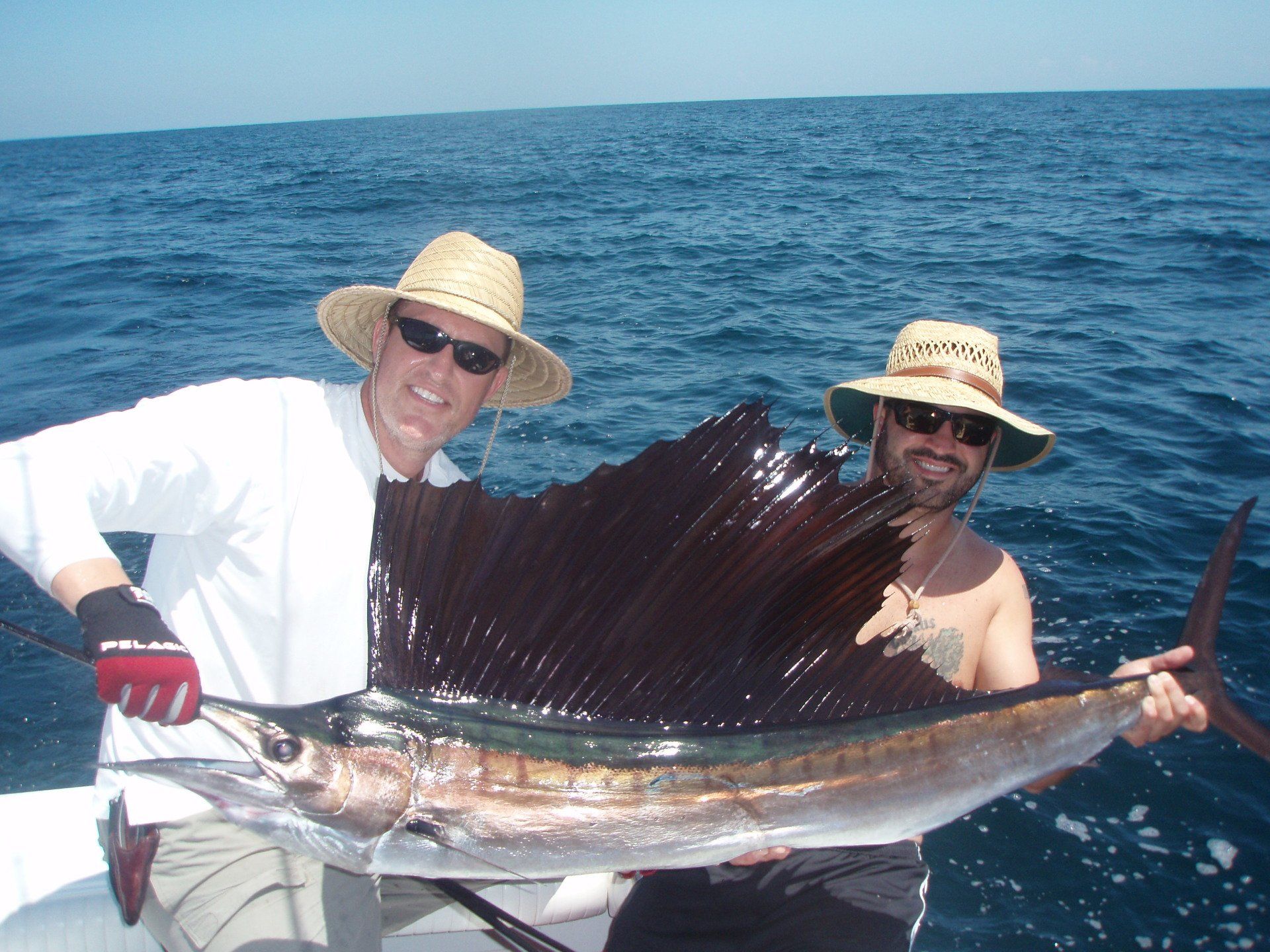 Releasing Sailfish Blue Water Adventures-Key Largo Florida