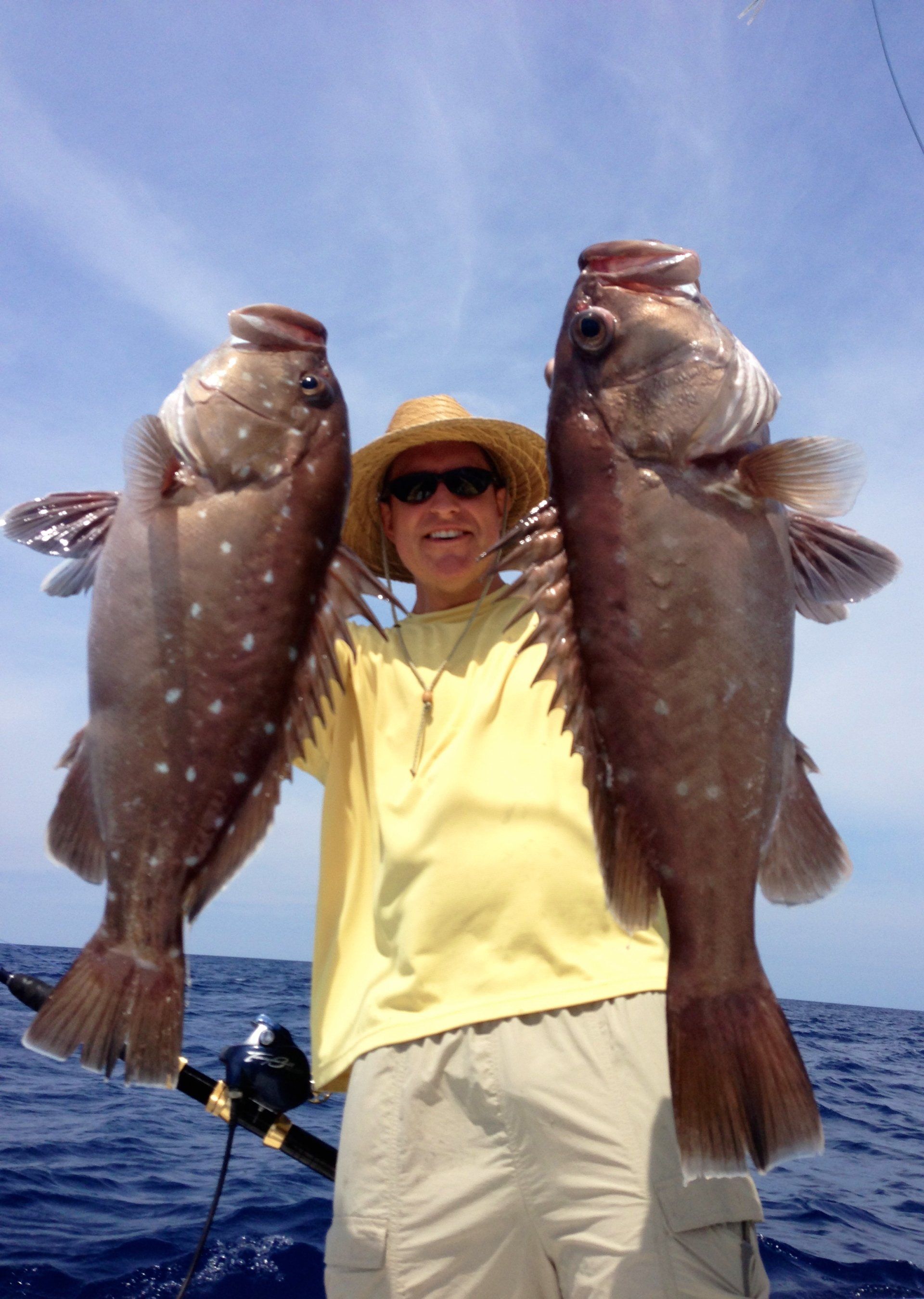 Grouper sportfishing Key Largo Florida
