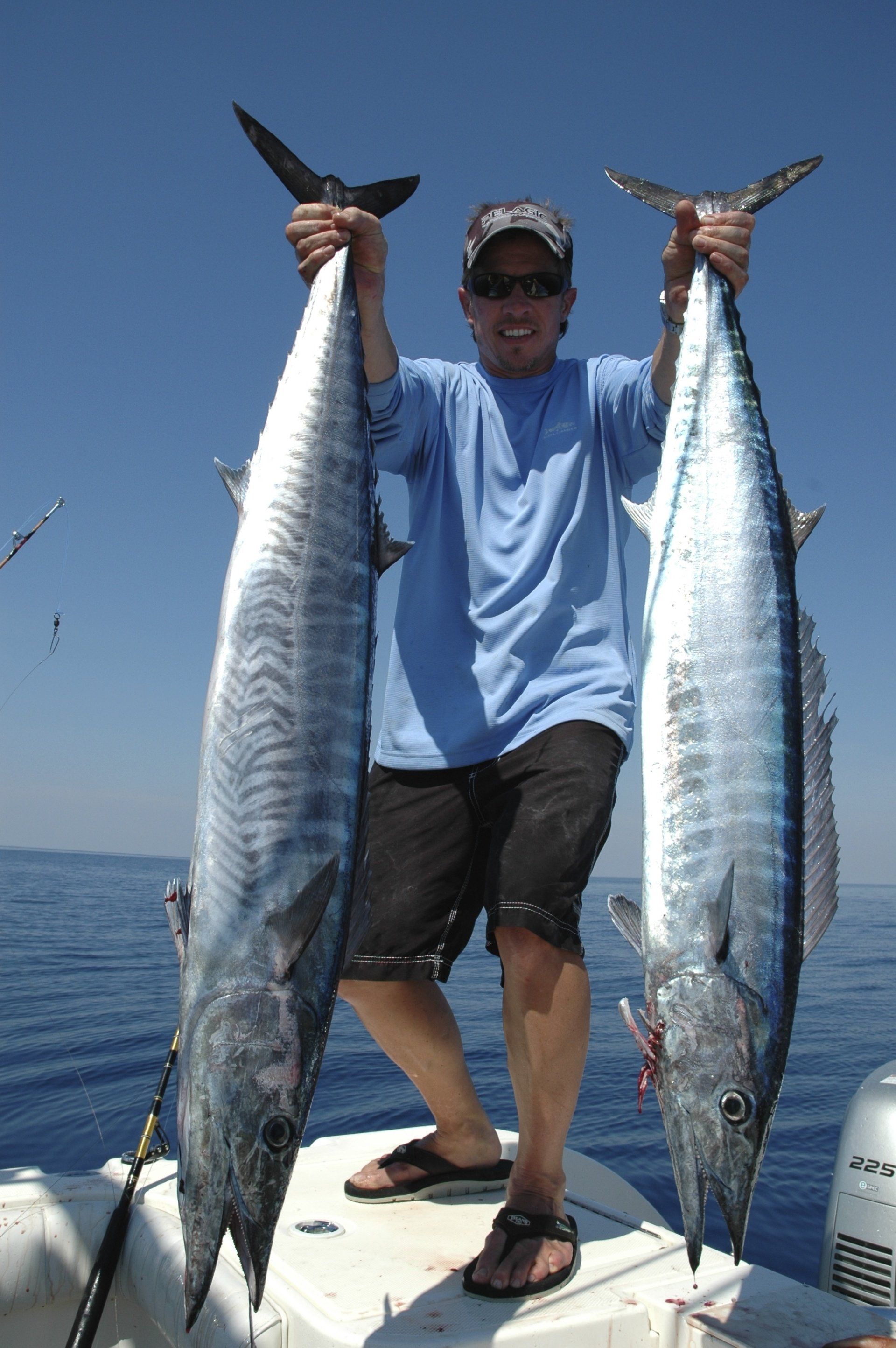 Wahoo charter fishing Key Largo Florida