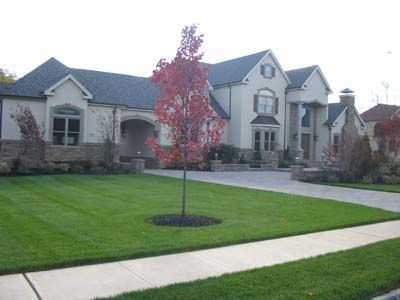 A large house with a lush green lawn and a tree in front of it.