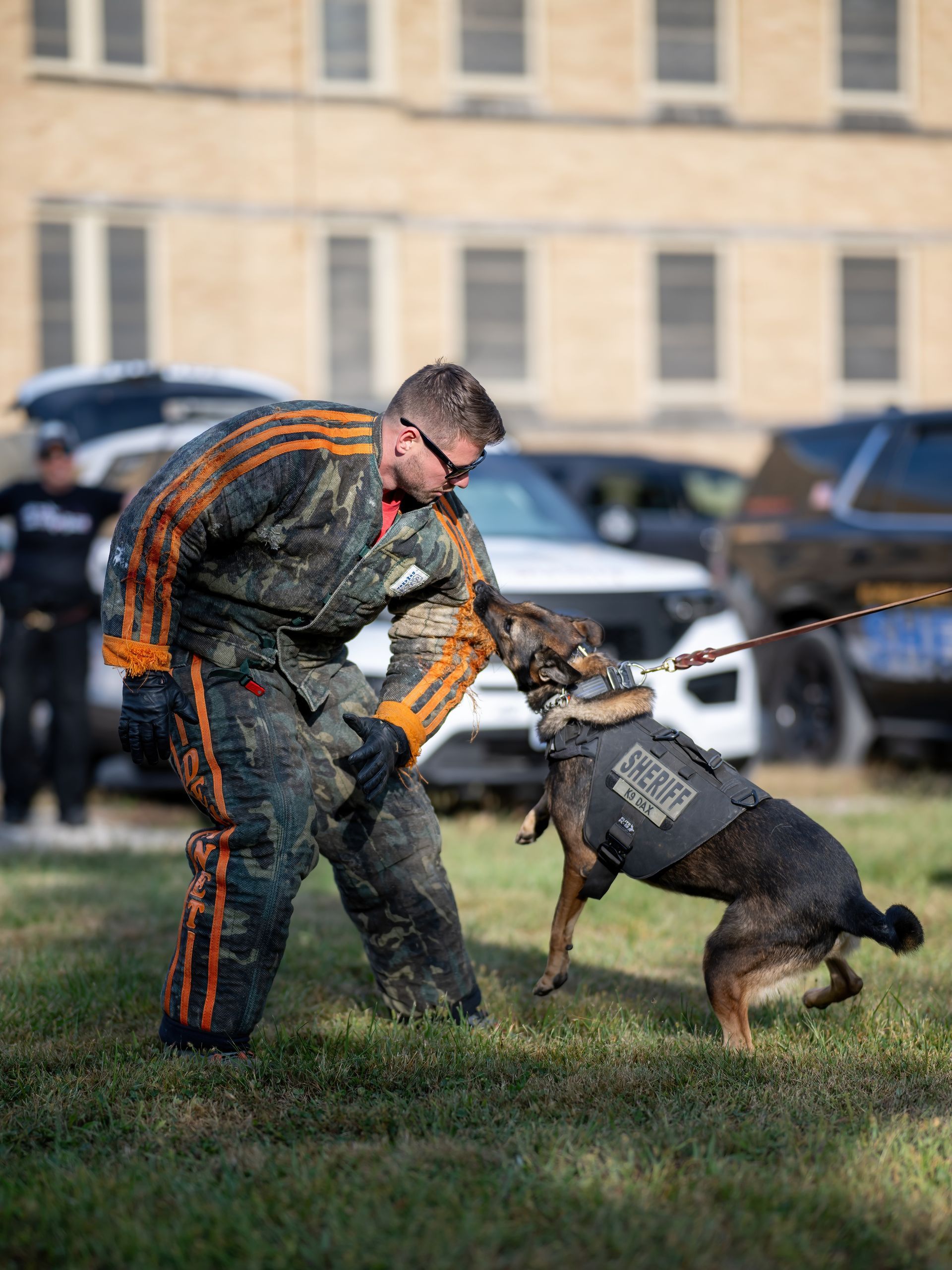 A man is playing with a dog in a field.
