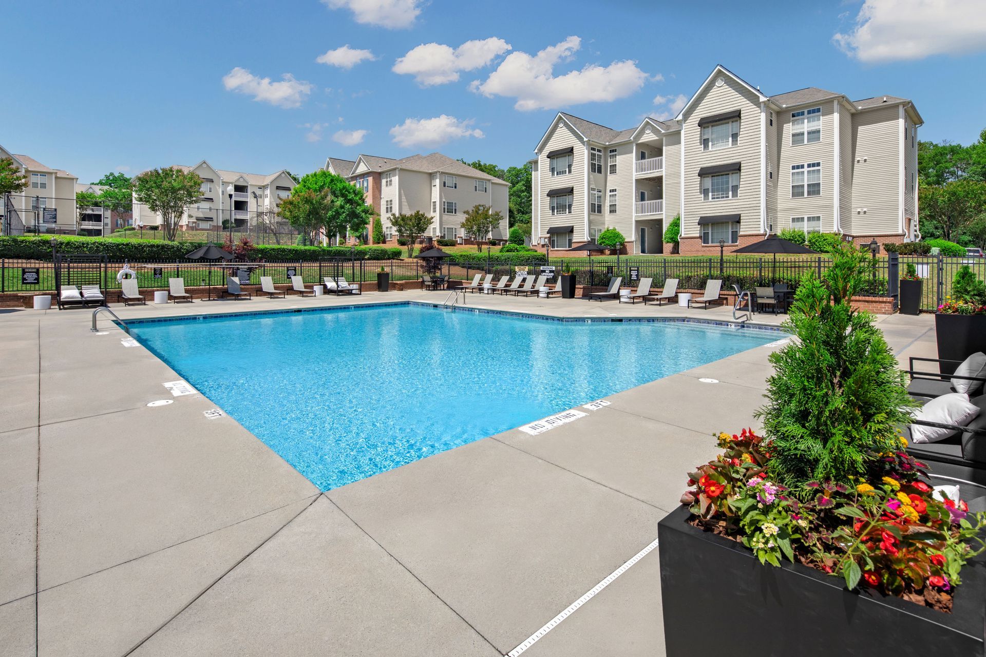 Resort Style Pool | The Bellamy