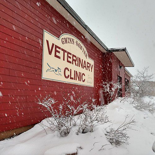 Open Veterinary Clinic in Winter — Gwinn, MI — Gwinn-Sawyer Veterinary Clinic