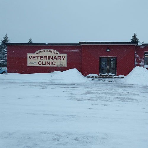 Veterinary Clinic Front — Gwinn, MI — Gwinn-Sawyer Veterinary Clinic